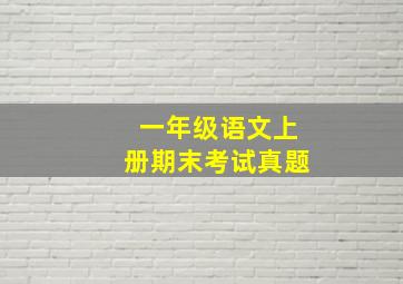 一年级语文上册期末考试真题