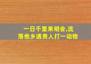 一日千里来相会,流落他乡遇贵人打一动物