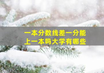 一本分数线差一分能上一本吗大学有哪些