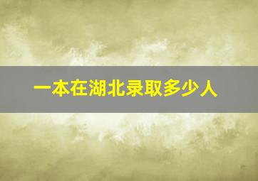 一本在湖北录取多少人