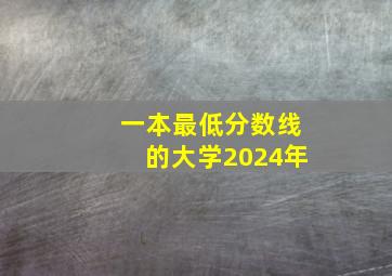 一本最低分数线的大学2024年