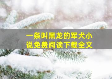 一条叫黑龙的军犬小说免费阅读下载全文