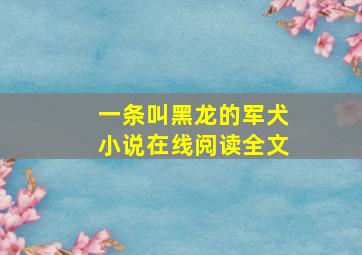 一条叫黑龙的军犬小说在线阅读全文