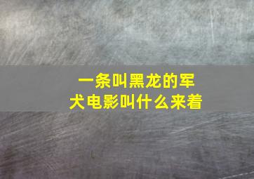 一条叫黑龙的军犬电影叫什么来着