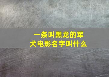 一条叫黑龙的军犬电影名字叫什么