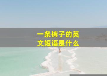 一条裤子的英文短语是什么