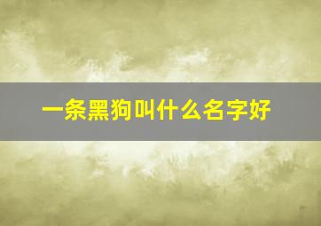 一条黑狗叫什么名字好