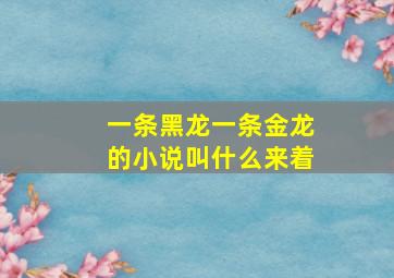 一条黑龙一条金龙的小说叫什么来着