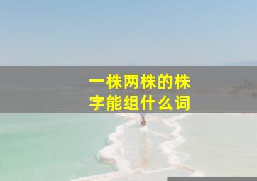 一株两株的株字能组什么词