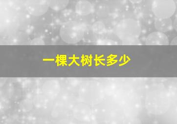 一棵大树长多少