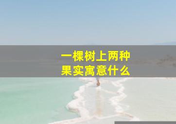 一棵树上两种果实寓意什么