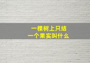 一棵树上只结一个果实叫什么