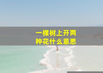 一棵树上开两种花什么意思