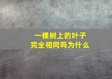 一棵树上的叶子完全相同吗为什么