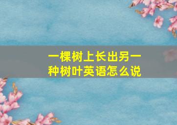 一棵树上长出另一种树叶英语怎么说