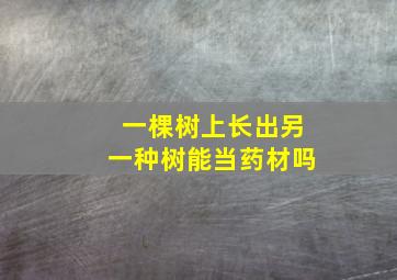 一棵树上长出另一种树能当药材吗