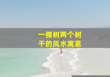 一棵树两个树干的风水寓意