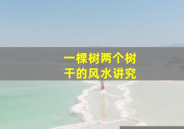 一棵树两个树干的风水讲究