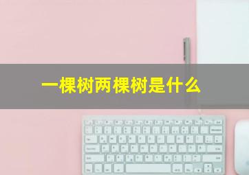 一棵树两棵树是什么