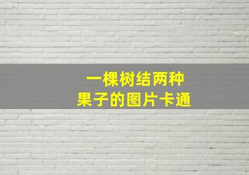 一棵树结两种果子的图片卡通