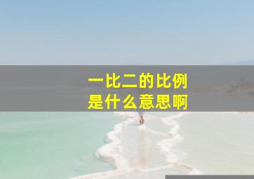 一比二的比例是什么意思啊