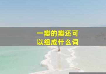 一瓣的瓣还可以组成什么词