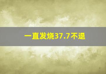 一直发烧37.7不退