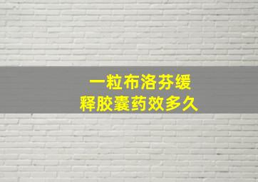 一粒布洛芬缓释胶囊药效多久