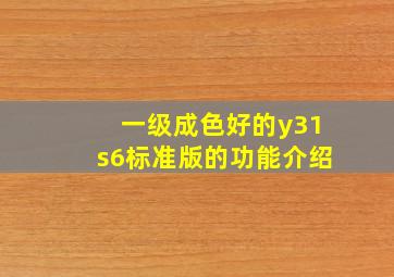 一级成色好的y31s6标准版的功能介绍