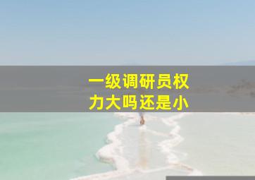 一级调研员权力大吗还是小