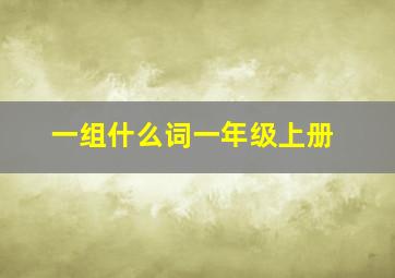 一组什么词一年级上册