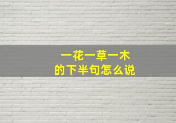 一花一草一木的下半句怎么说