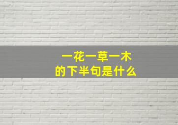 一花一草一木的下半句是什么