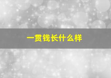 一贯钱长什么样