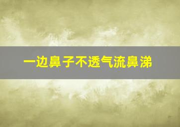 一边鼻子不透气流鼻涕