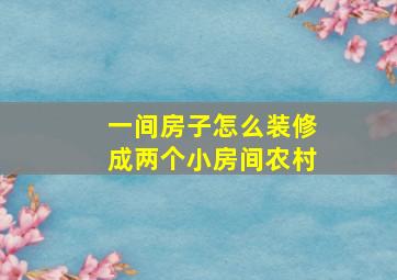 一间房子怎么装修成两个小房间农村