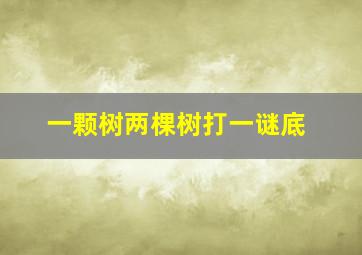 一颗树两棵树打一谜底