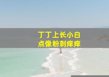 丁丁上长小白点像粉刺痒痒