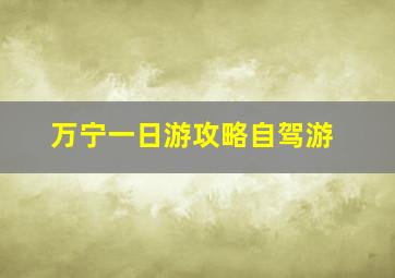 万宁一日游攻略自驾游