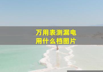 万用表测漏电用什么档图片