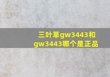 三叶草gw3443和gw3443哪个是正品