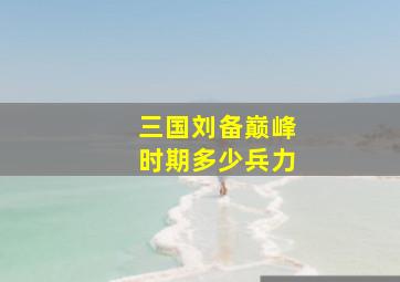 三国刘备巅峰时期多少兵力