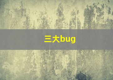 三大bug