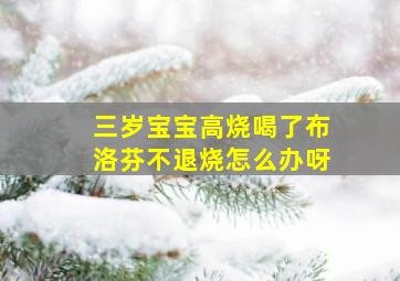 三岁宝宝高烧喝了布洛芬不退烧怎么办呀