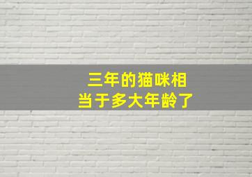 三年的猫咪相当于多大年龄了