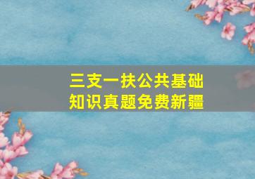 三支一扶公共基础知识真题免费新疆