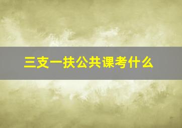 三支一扶公共课考什么