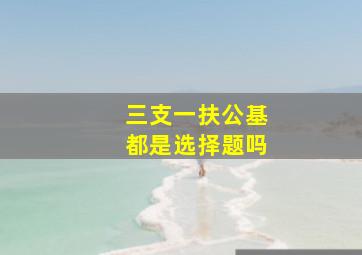 三支一扶公基都是选择题吗