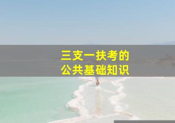 三支一扶考的公共基础知识