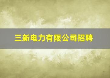 三新电力有限公司招聘